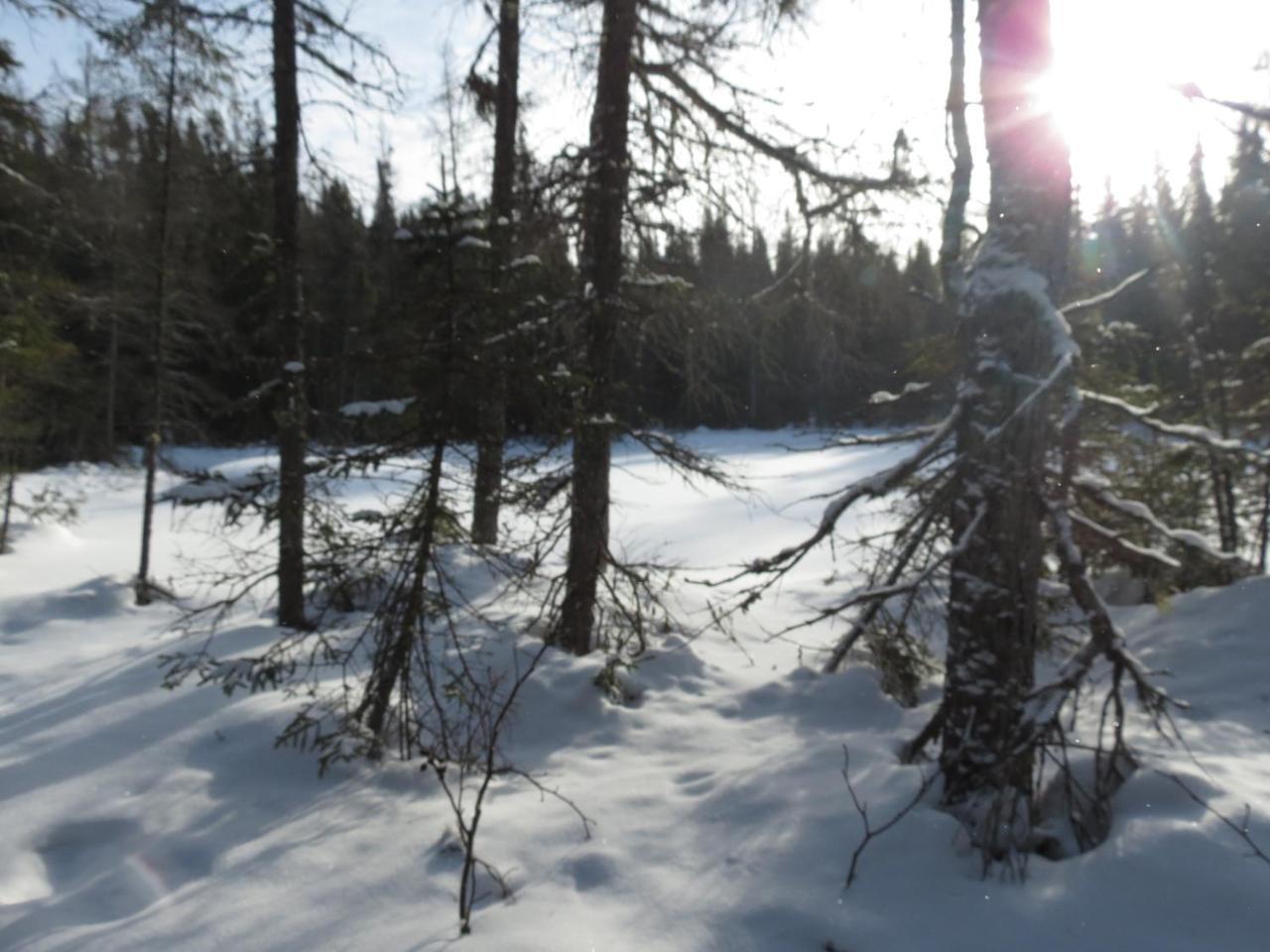 Residence Touristique Lodge Des Bois Saint-Felix-d'Otis Luaran gambar
